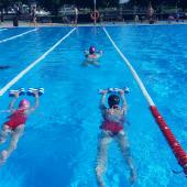 Educational and pe pool